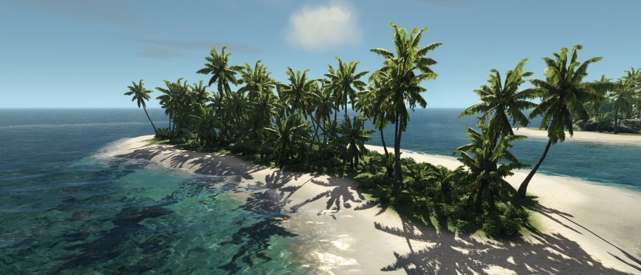 Beach with trees